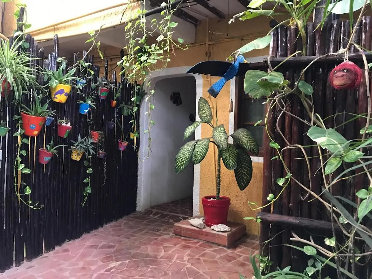 Hotel Maison Tulum