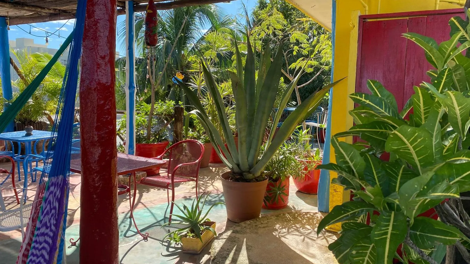 Maison Tulum Hotel