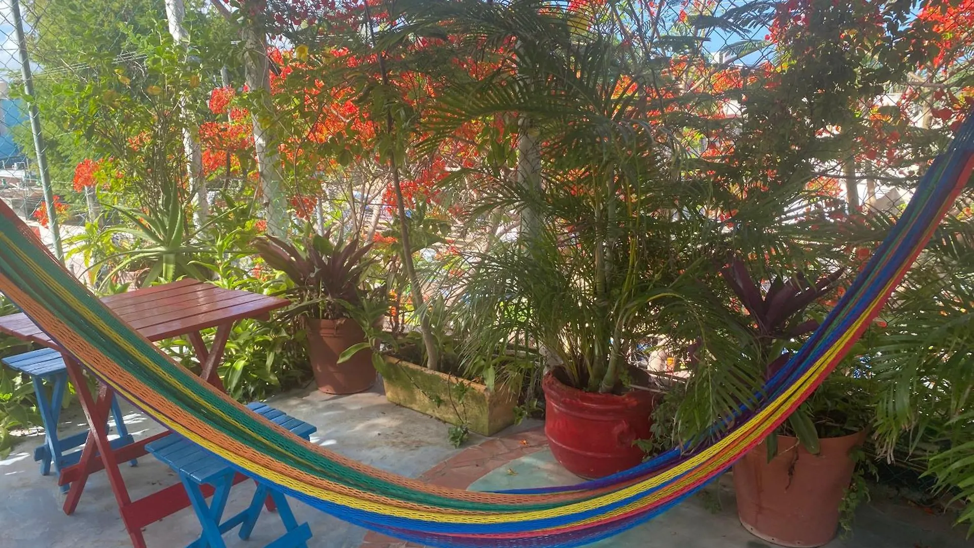 Maison Tulum Mexico