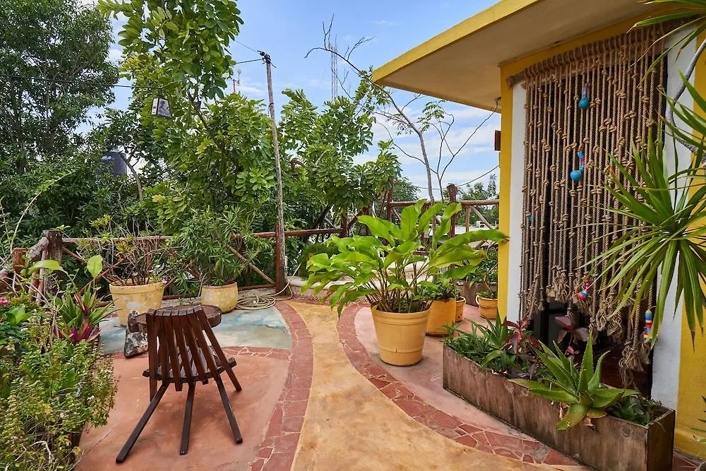 Maison Tulum Hotel
